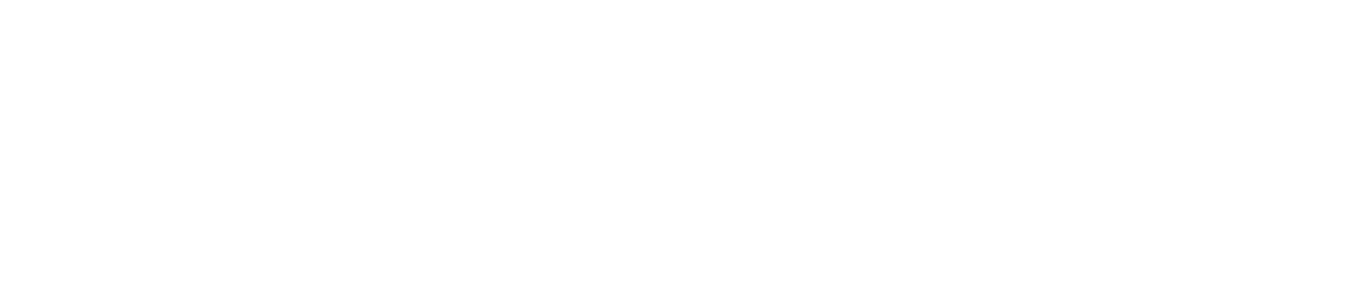 light logo